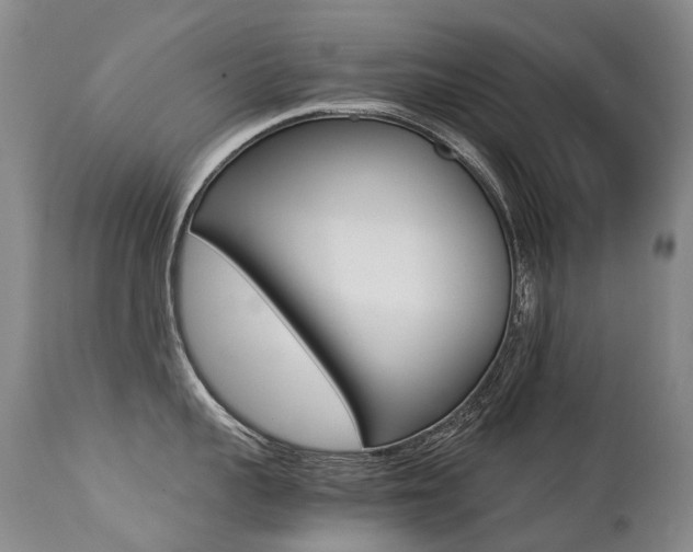 X0000113210959200909100943