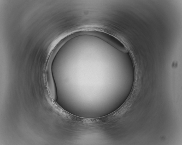 X0000113210960200909100943