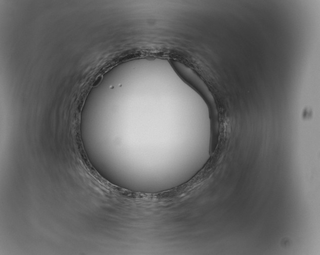X0000113210961200909100942