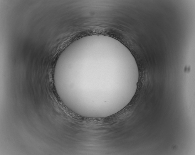 X0000113210962200909100942
