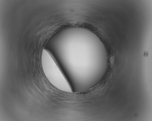 X0000113210963200909100942