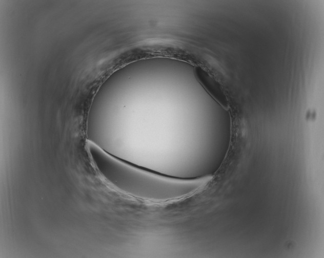 X0000113210965200909100942