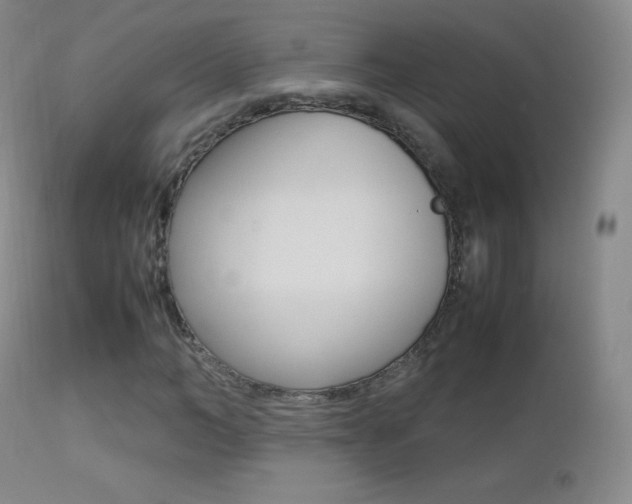 X0000113210966200909100942