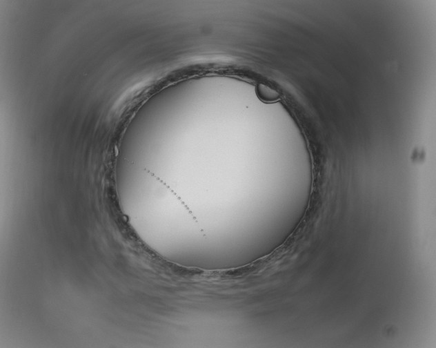 X0000113210967200909100942