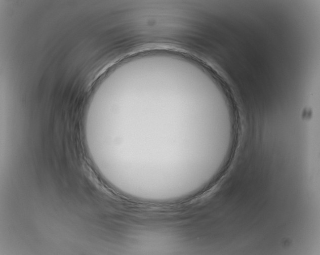 X0000113210969200909100942