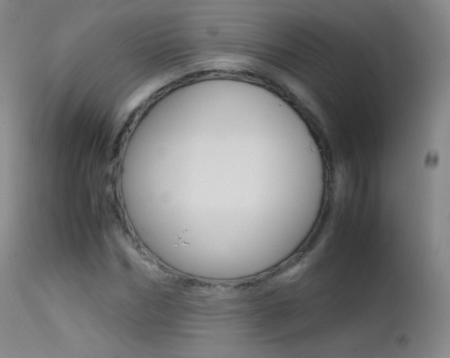 X0000113210970200909100942