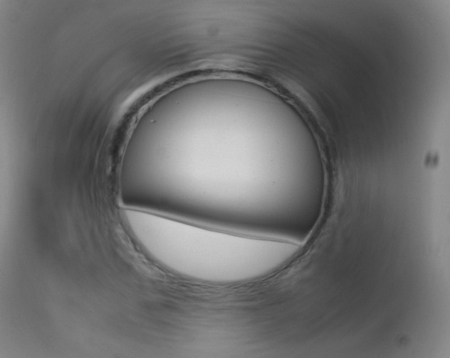 X0000113210971200909100942