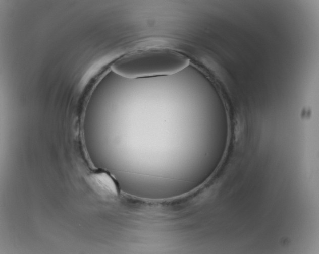 X0000113210973200909100942