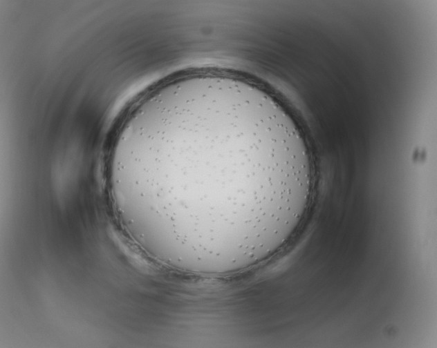 X0000113210974200909100942