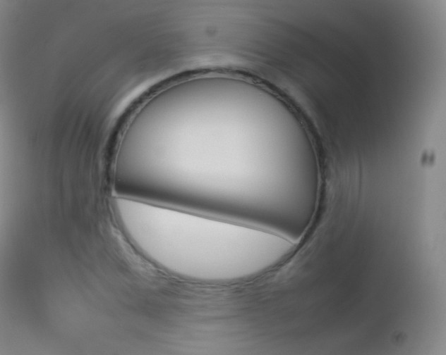X0000113210975200909100942