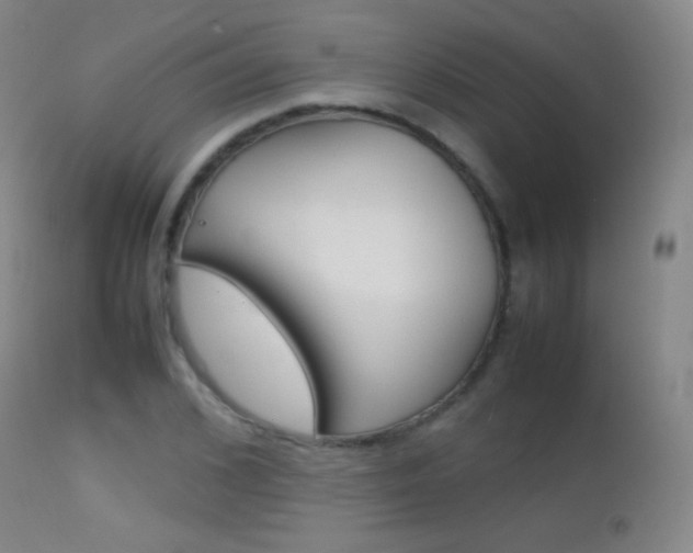 X0000113210976200909100942