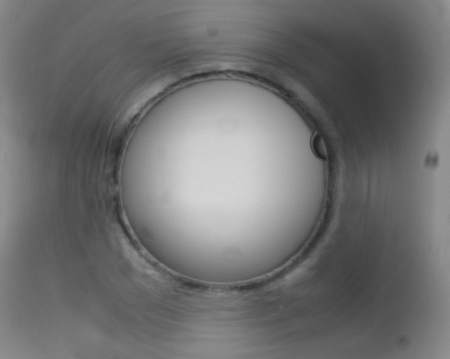 X0000113210977200909100942