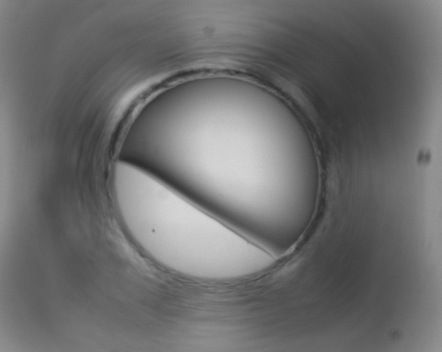 X0000113210979200909100942