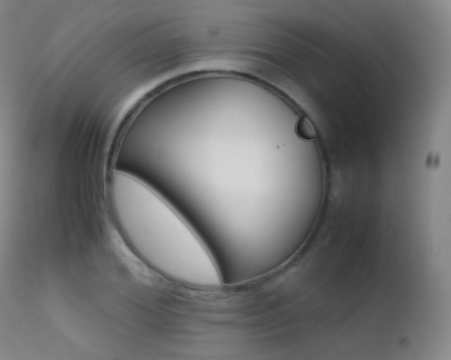 X0000113210980200909100942