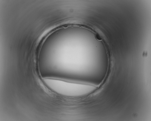X0000113210981200909100942