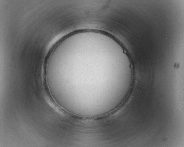 X0000113210982200909100942