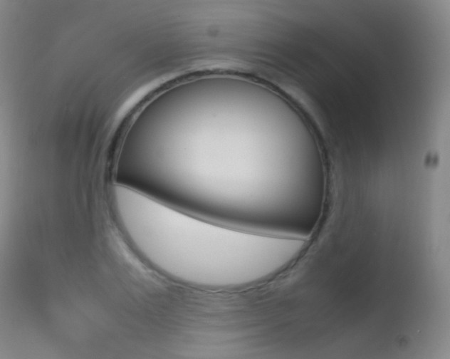 X0000113210983200909100942