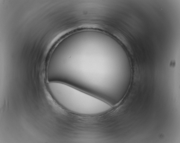 X0000113210984200909100942