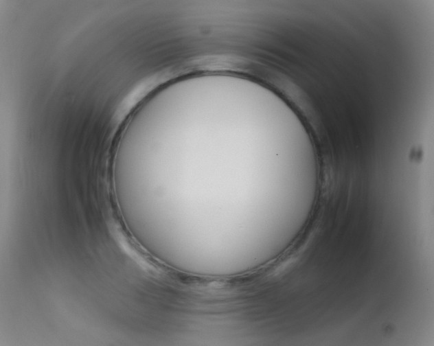 X0000113210986200909100942