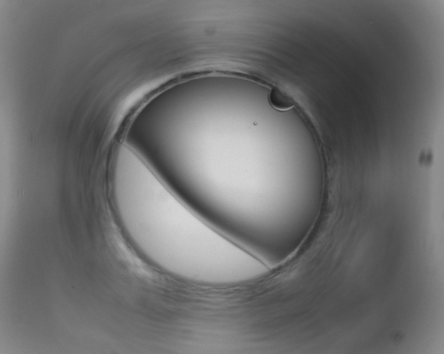 X0000113210987200909100942