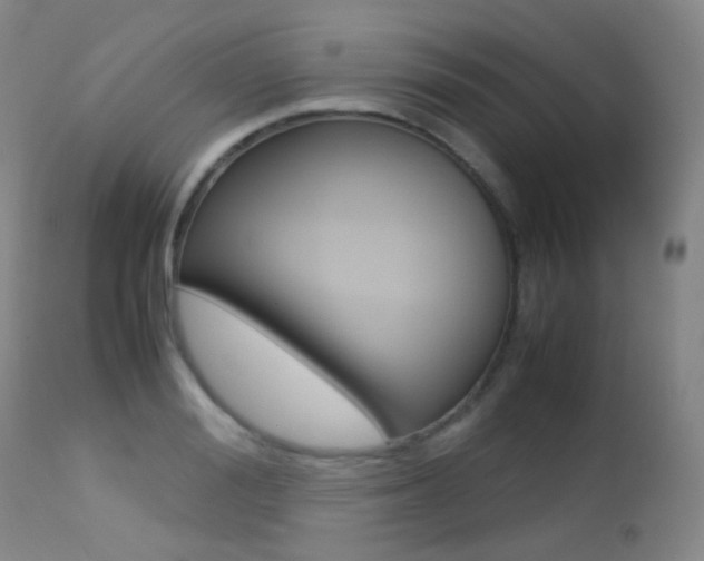 X0000113210988200909100942