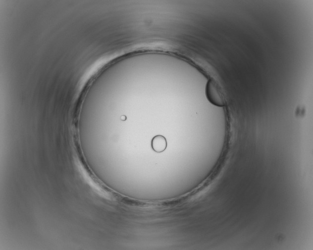 X0000113210989200909100942