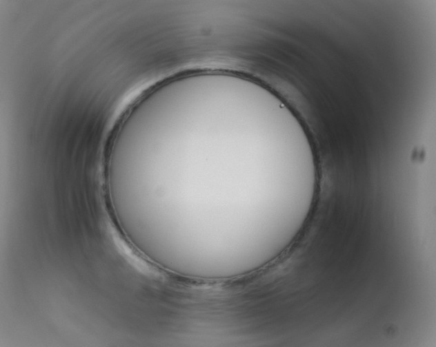 X0000113210990200909100942