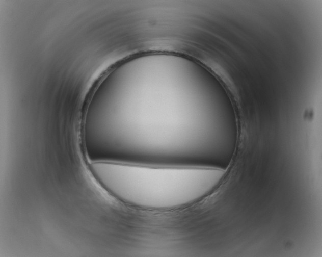 X0000113210992200909100942