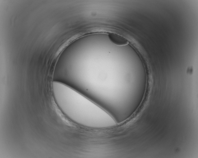 X0000113210993200909100942
