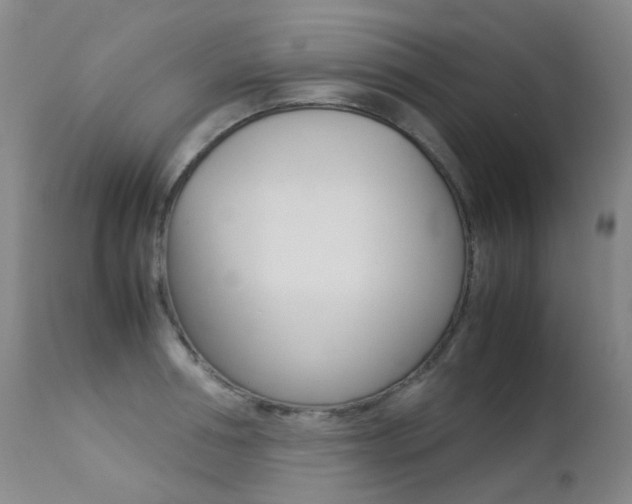 X0000113210994200909100942