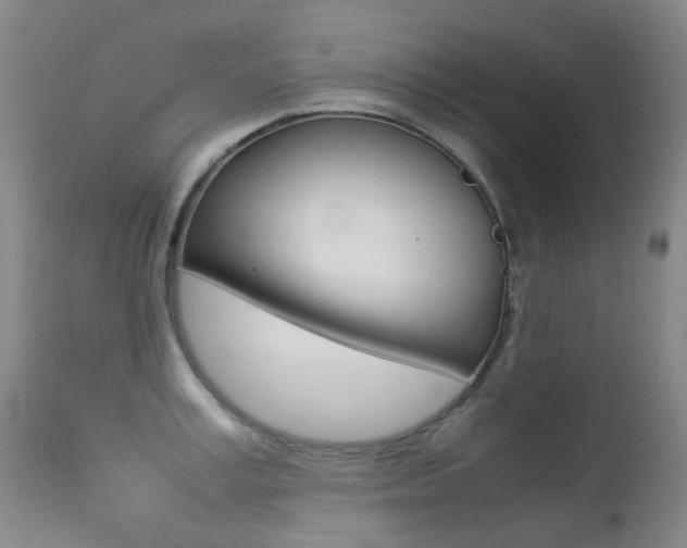 X0000113210995200909100942