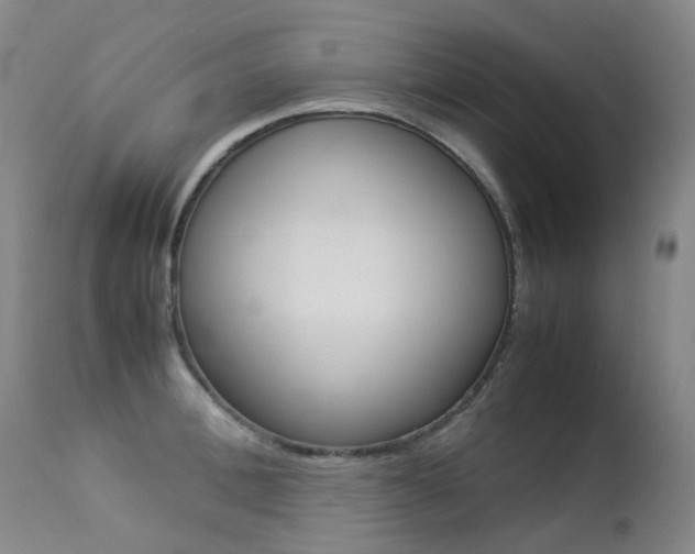 X0000113210996200909100942