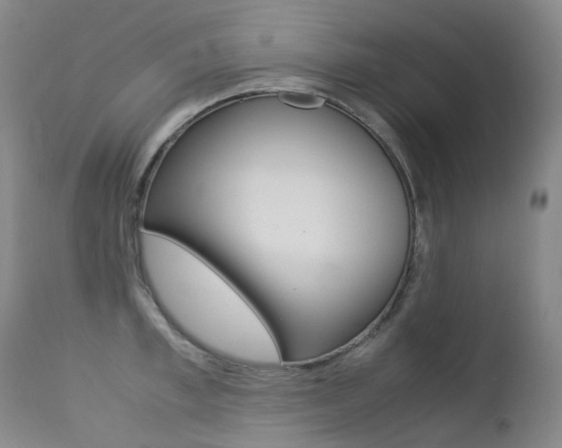 X0000113210997200909100942