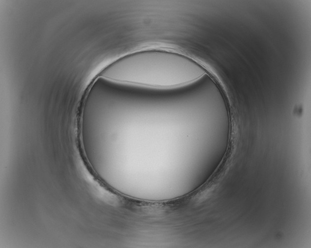 X0000113210999200909100942