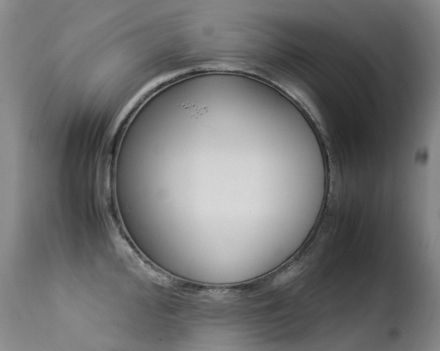 X0000113211000200909100942