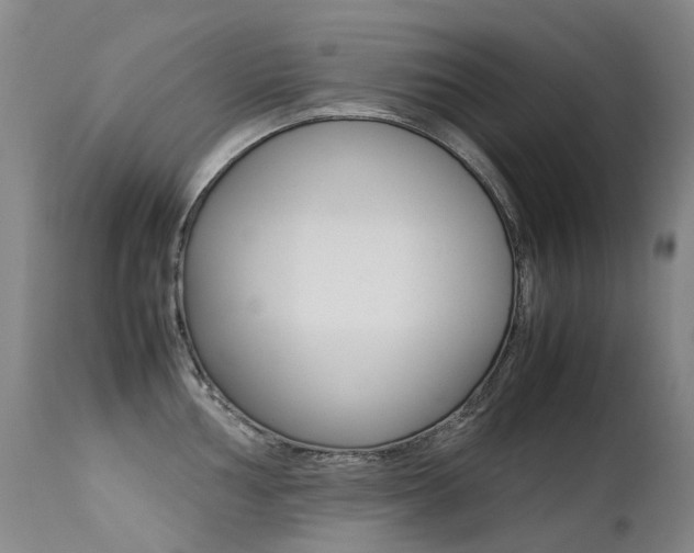 X0000113211002200909100942