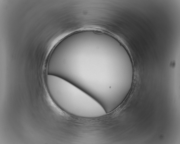 X0000113211003200909100942