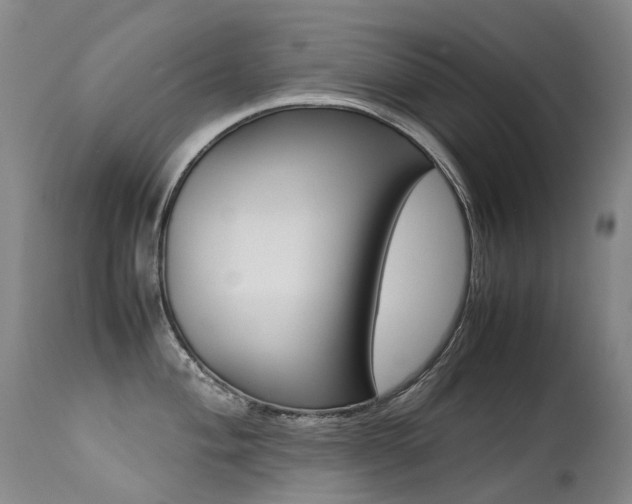 X0000113211004200909100942