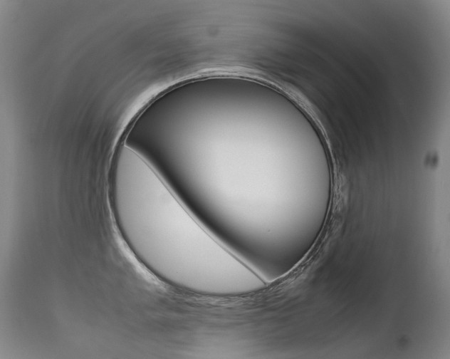 X0000113211005200909100942