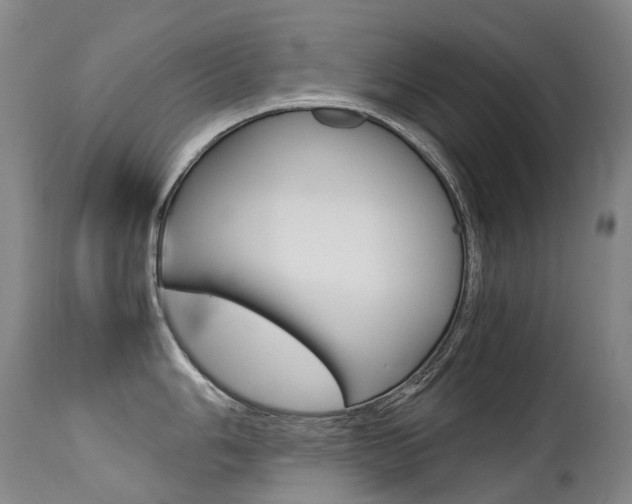 X0000113211006200909100942