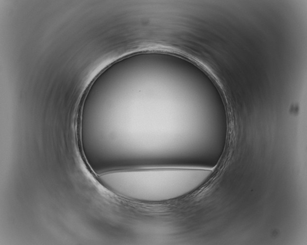 X0000113211007200909100942