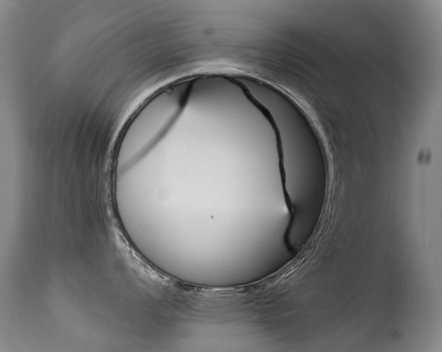 X0000113211008200909100942
