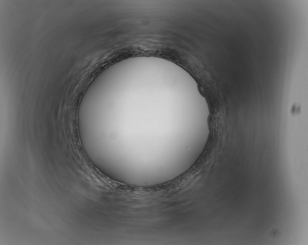 X0000113211009200909100941