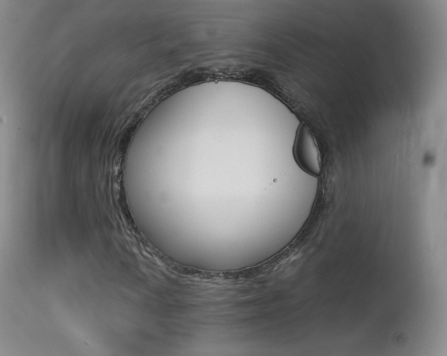 X0000113211010200909100941