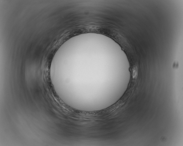 X0000113211011200909100941