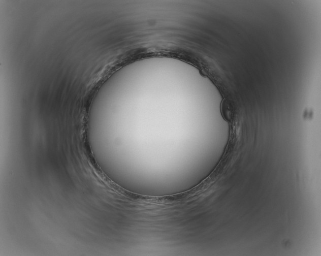 X0000113211012200909100941