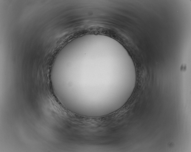 X0000113211013200909100941