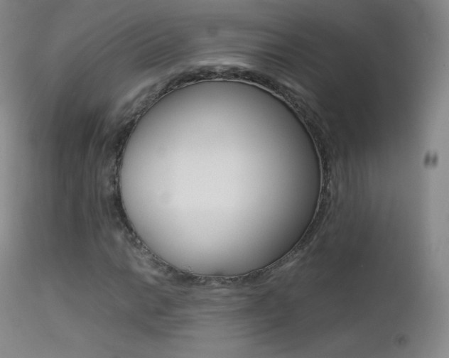 X0000113211014200909100941