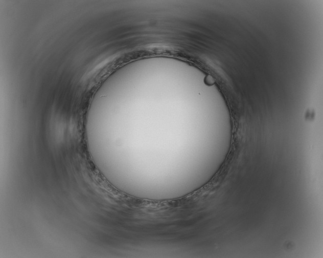 X0000113211015200909100941