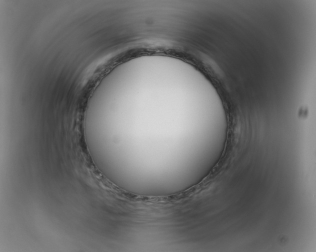 X0000113211016200909100941